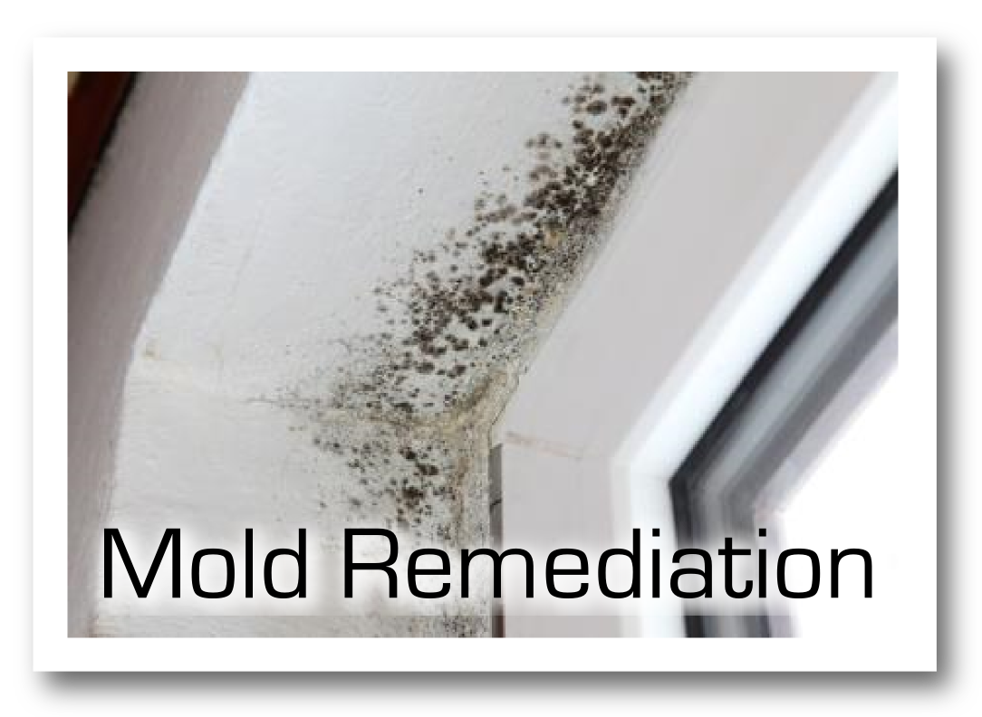 Service_Pic_Remediation