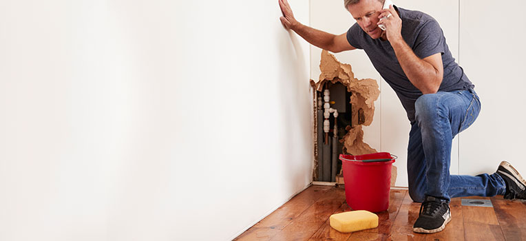 water-d Water Damage Restoration Services
