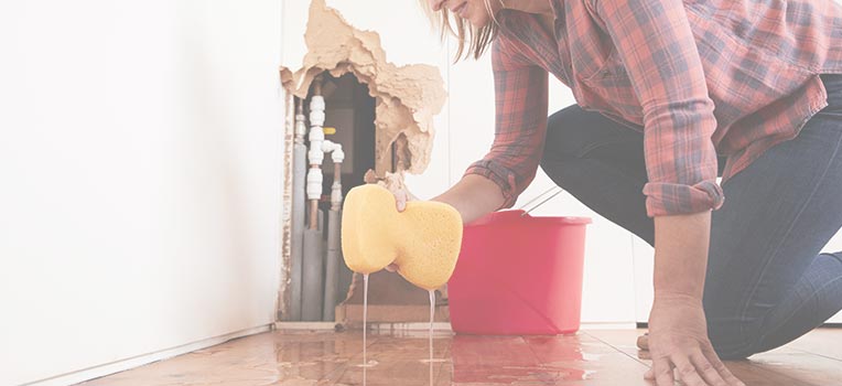 Water Damage Restoration Services
