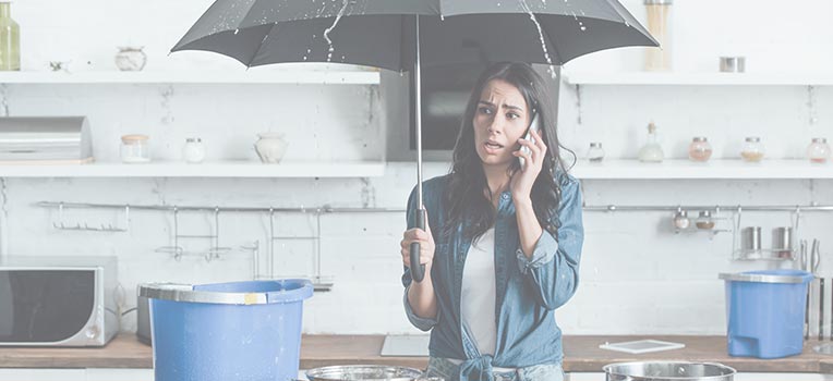 Water Damage Restoration