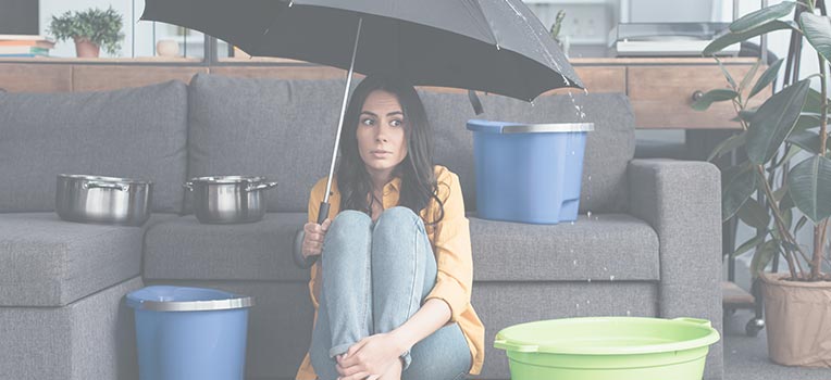 Water Damage Restoration Services