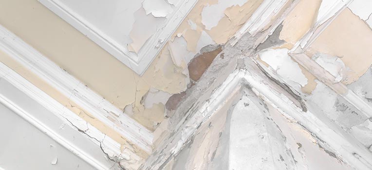 Water Damage Services