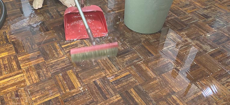 Water Damage Restoration Services
